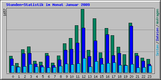 Stunden-Statistik im Monat Januar 2009