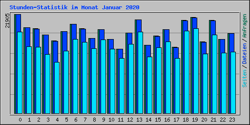 Stunden-Statistik im Monat Januar 2020