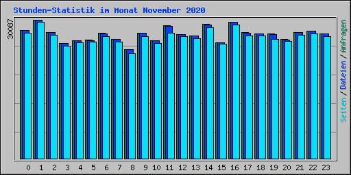 Stunden-Statistik im Monat November 2020