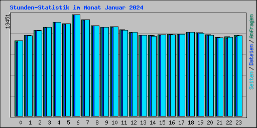 Stunden-Statistik im Monat Januar 2024