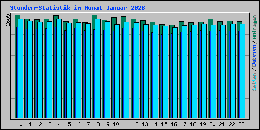 Stunden-Statistik im Monat Januar 2026