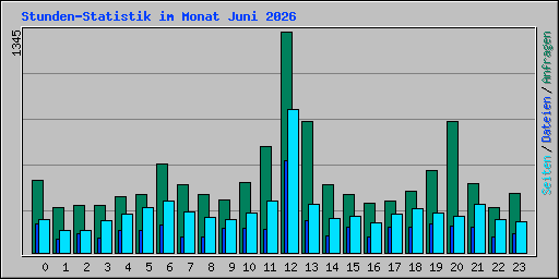 Stunden-Statistik im Monat Juni 2026