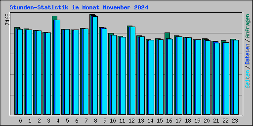 Stunden-Statistik im Monat November 2024