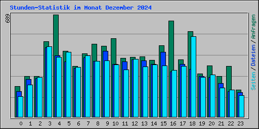 Stunden-Statistik im Monat Dezember 2024