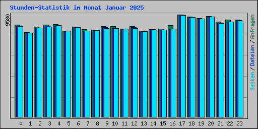 Stunden-Statistik im Monat Januar 2025