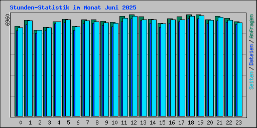 Stunden-Statistik im Monat Juni 2025